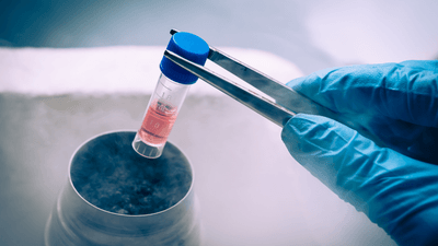 vN79GZwnumE5zsp6Dmyf.png?w=940&h=940