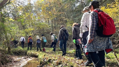 vOdNzLtYYYnuZ6ZSjxIn.jpeg?w=940&h=940