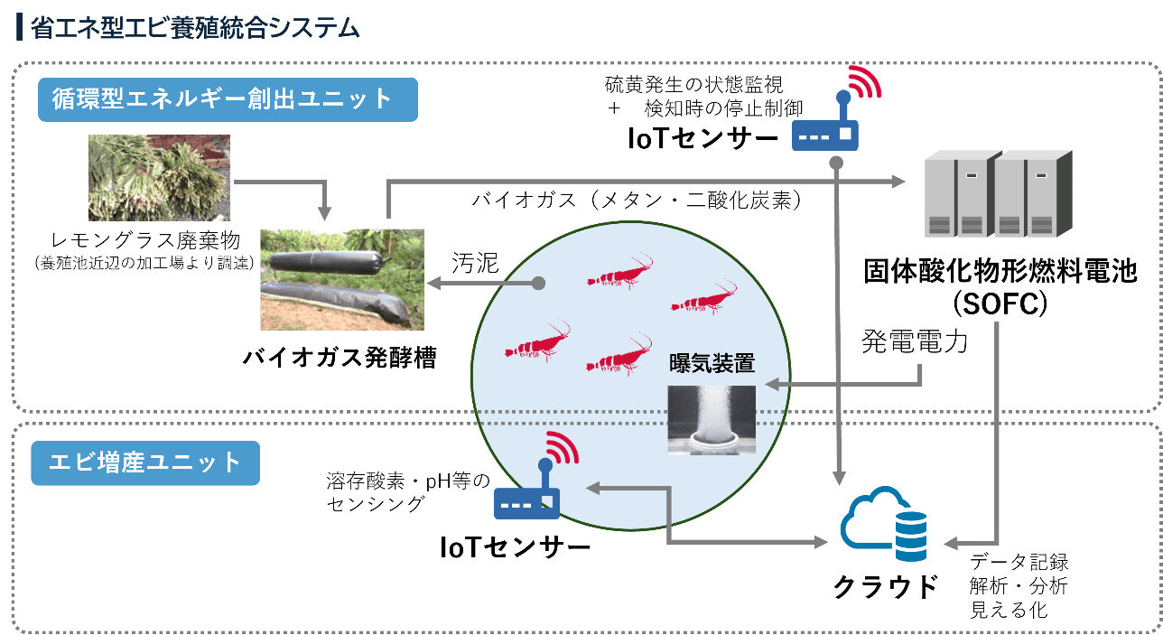 実証システムイメージ
