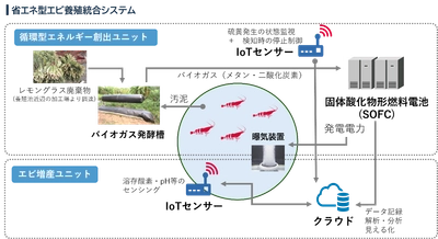 日本初！グリーンエネルギーとIoTを活用したエビ養殖に挑戦