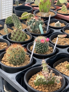 vOvhsaN39hlFplvwr2d0.jpeg?w=940&h=940