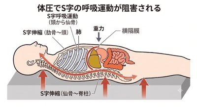 vP69WwGv8Et4lbRQqXsS.png?w=940&h=940