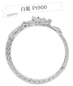 vPP5LhFiPqXjpChlVkbt.png?w=940&h=940