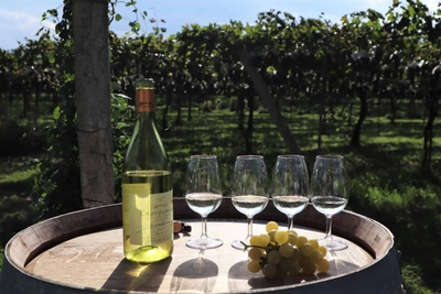 vR5EVa27qrg1ySvq2kiD.jpg?w=940&h=940