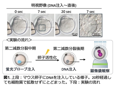 vR7kNiGJeYZmZJzINxiE.jpg?w=940&h=940