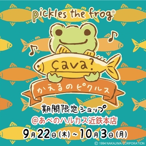 キービジュアル　çava?