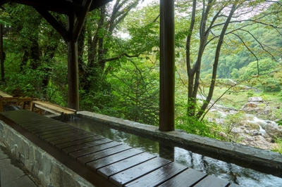 vURWgoDTHSI3EpXs02LW.jpg?w=940&h=940