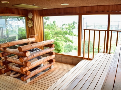 ビューサウナ