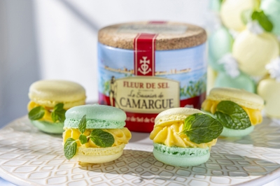 vVwGcTmoWBqbfUuM3v5M.jpg?w=940&h=940