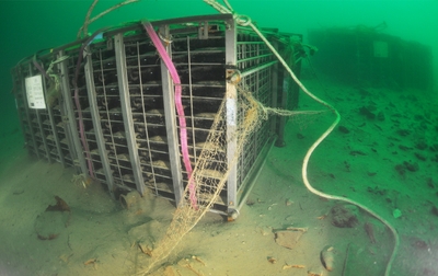 vW6oSTq0MZon8vjvfv7g.jpg?w=940&h=940