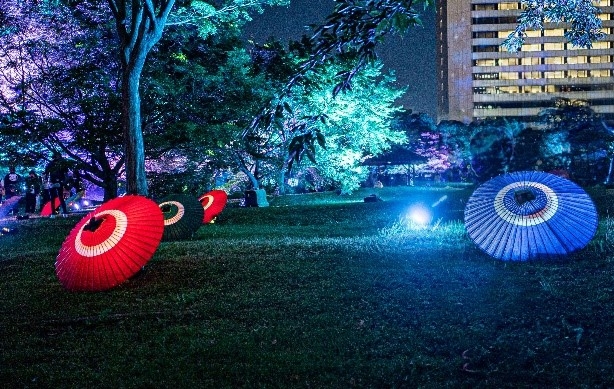 江戸情緒 散策路(イメージ)