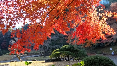 vc4y0CvHavwN1kQaKd1s.jpg?w=940&h=940