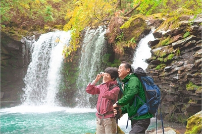 vd4TWavoJd7kqjd5Hw9D.jpg?w=940&h=940