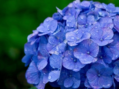 vdSbMbX9gmdr37e1gTWy.jpeg?w=940&h=940