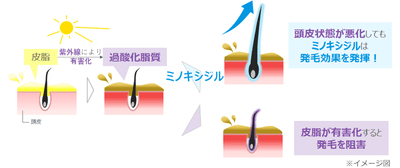 vfI1YydP2GK0Bkj8Bp4n.png?w=940&h=940