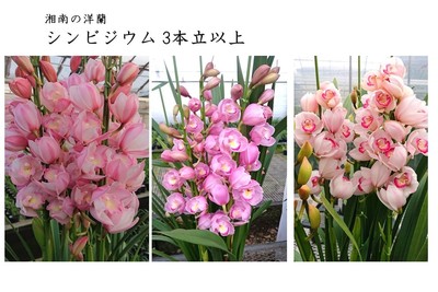 vg1V2K7fmM5D124aDmjY.jpg?w=940&h=940