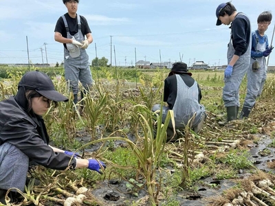 vhN3Fk9BS9dDuZZbeajh.jpg?w=940&h=940