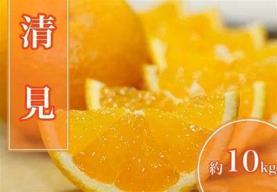 vixwAEDfUlSlg68a4VS7.jpeg?w=940&h=940