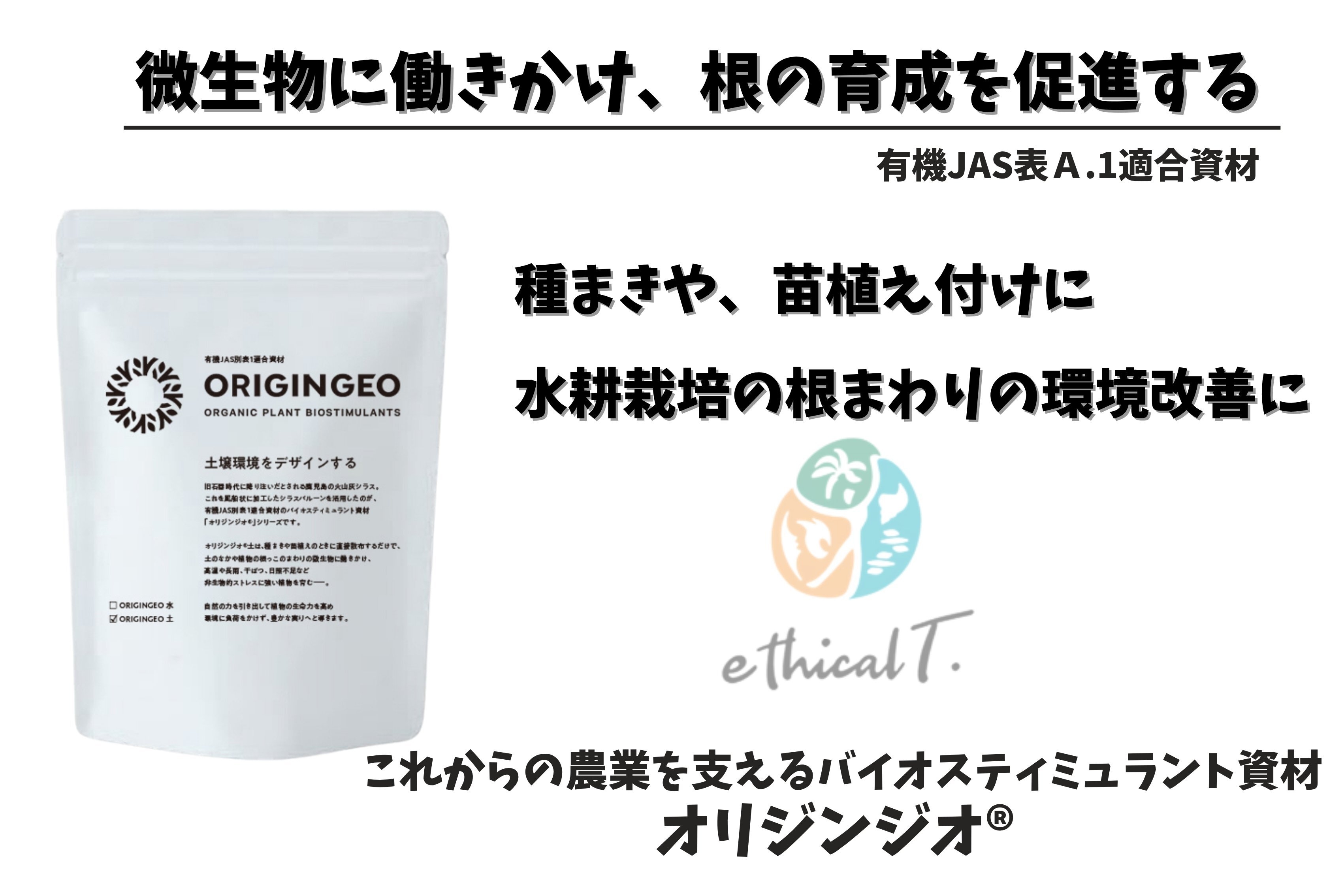 メインページ(3)