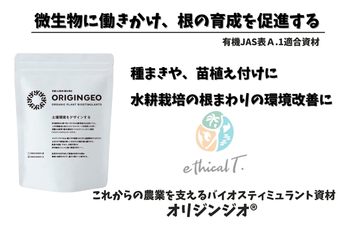 メインページ(3)