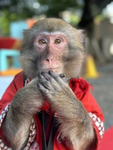 vizaReBGuA4pCzGgr4lZ.jpg?w=940&h=940