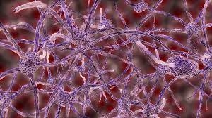 vjC8HAB9pomOp1TBQGIK.jpg?w=940&h=940