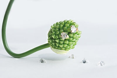 vjXxZZ5wgdPs5uj0huB4.jpg?w=940&h=940