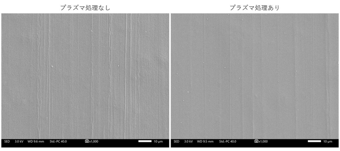 写真6. 表面の電子顕微鏡画像(1,000倍)