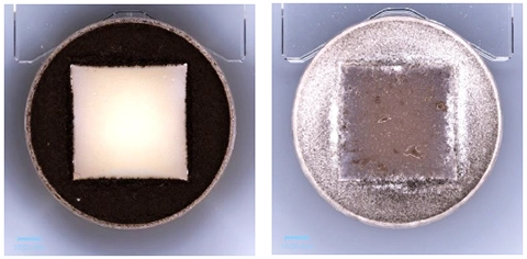 防かび性試験に画像付き報告書を導入！ － 試験結果の「見える化」で商品の訴求力向上 －