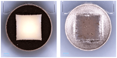 提供する画像の例。左が防かび加工品(判定0)、右が未加工品(判定5)  ※判定はJIS Z2911の基準による＝下表参照