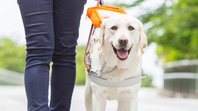 vmRLBx6cepu1NTHLhNPf.jpg?w=940&h=940