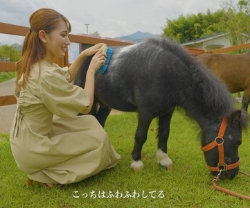 vn4jalV0ApW0b1L3TU2E.jpg?w=940&h=940