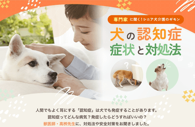 vnI04FZbwxB5rhTIte9Z.png?w=940&h=940