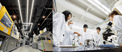 vnV6porlhmVmAWfXUR6v.png?w=940&h=940