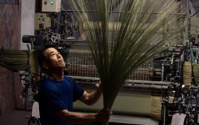 13_igusa(c)2017 熊本県いぐさ・畳表活性化連絡協議会 IGSAPHOTOLOG