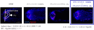 vpiCLNR1I9r46k30Ah3B.jpg?w=940&h=940