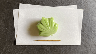 vq6l50YjIqJ7MIDi21h8.png?w=940&h=940