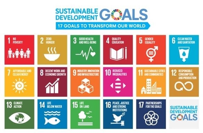 持続可能な開発目標（Sustainable Development Goals：SDGs）