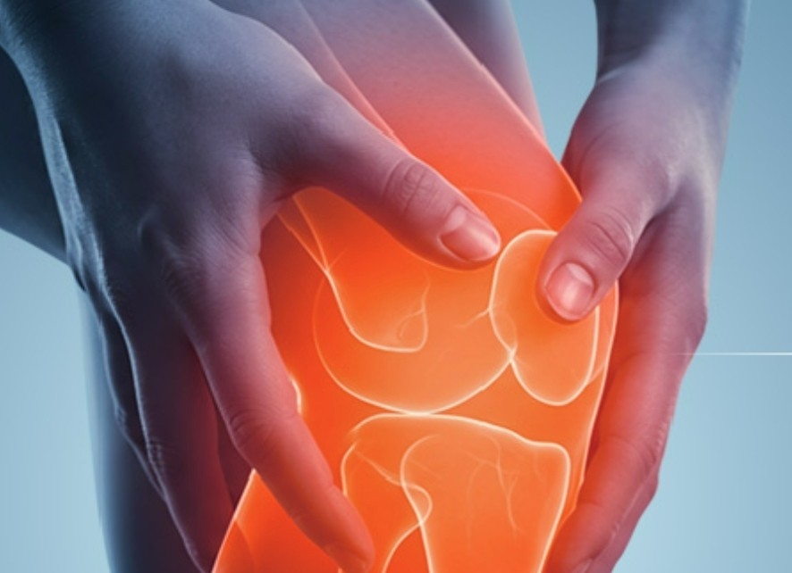 幹細胞培養上清液による「ひざ関節治療」を開始！