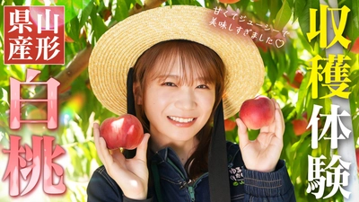 秋元真夏が山形県産の白桃を収穫体験！ 採れたての甘くてジューシーなももとパリッと食感のももを食べ比べ！