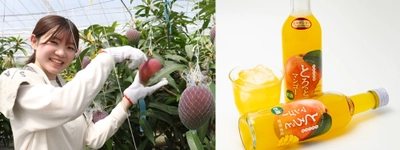 近畿大学附属湯浅農場で栽培した近大マンゴー使用のリキュール　「とろっとマンゴー」を地元の老舗酒蔵が新発売