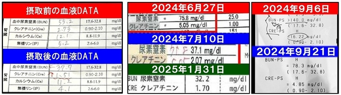 「イヌトウキ」サプリメント投与後、腎機能(BUN・CRE)の改善が見られた猫のデータ(一部抜粋)。83％の猫において腎機能の数値改善が確認された(獣医師監修のもと実施)。