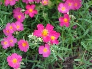 vren9wpAyP4bdF7fKVFb.jpg?w=940&h=940