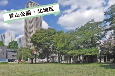 vripbIlgZ1j5L80q9yPG.jpg?w=940&h=940