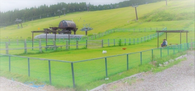 vtHsIdk7GecLKYsVg7Oj.jpeg?w=940&h=940