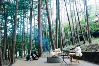 vtRr3tDIc11C0zihStqN.jpg?w=940&h=940