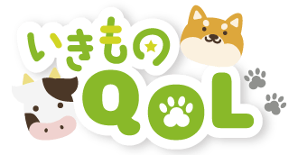 vtkzPtVuSHxz7x7ZMYEO.png?w=940&h=940