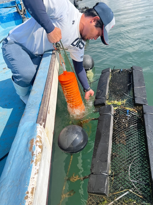 写真提供:シェルフィッシュ明石