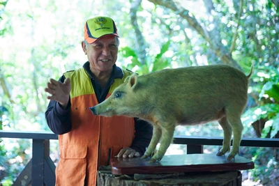 vvbYRBAtOhWdcqwhL7yc.jpg?w=940&h=940