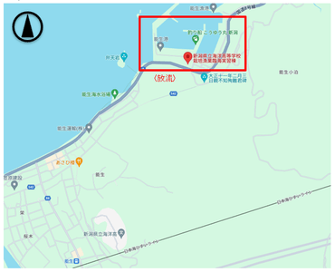 vvfpwPrzXZv6Uby04pJi.png?w=940&h=940